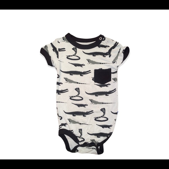 🐍🦎Kickee Bundle🦎🐍 - Picture 6 of 12